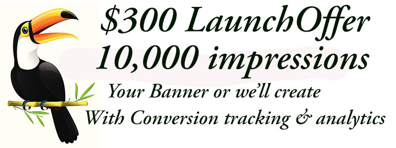 advertisement advertisement