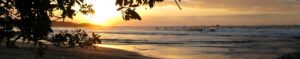Playa Tamarindo Tourism Services
