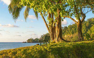 Featured on The Guanacaste Guide