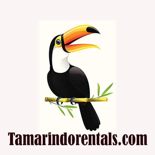 Leverage your live Guanacaste  Events by adding  Facebook cohosts