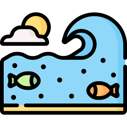 oceanfront vacation rental homes