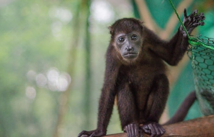 Foundations to build wildlife crossings in Guanacaste