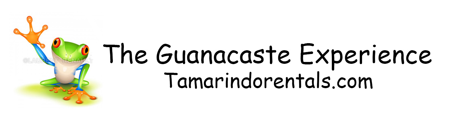 The Guanacaste Experience